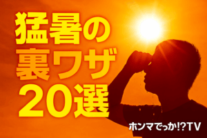 【ホンマでっか!?TV】猛暑の夏を乗り切る裏ワザ20連発！冷凍トマト＆自衛隊テクも｜6月25日放送 | 東海ローカルさんぽTVログ