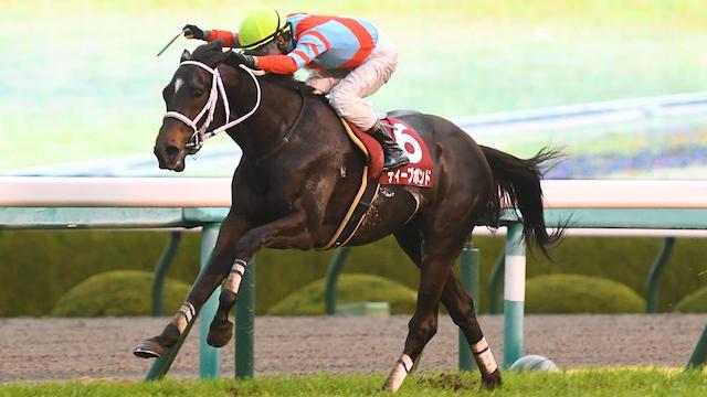 凱旋門賞前哨戦フォア賞ディープボンドが逃げ切り勝ち 薄給介護士しげゆき のレク動画まとめサイト