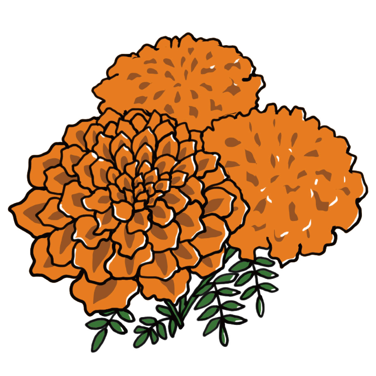 7月18日誕生花を工作 マリーゴールド 花言葉 折り紙 描き方how To Make A Marigold With Origami Flower 介護士しげゆきブログ