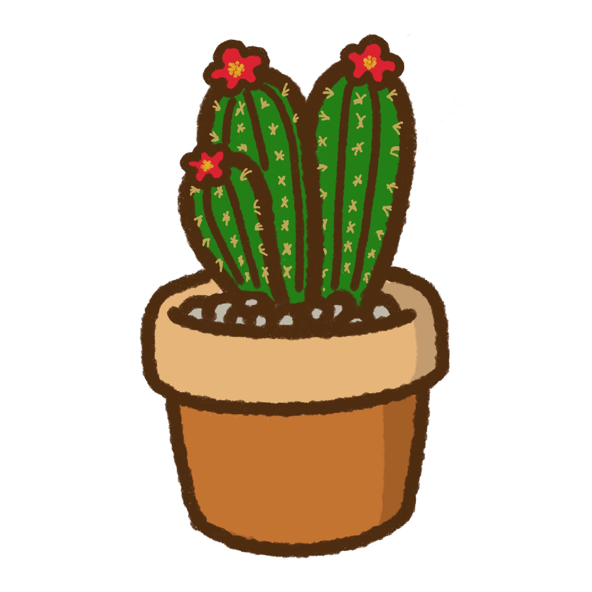 7月29日誕生花を工作 サボテン 花言葉 折り紙 描き方 介護士しげゆきブログ