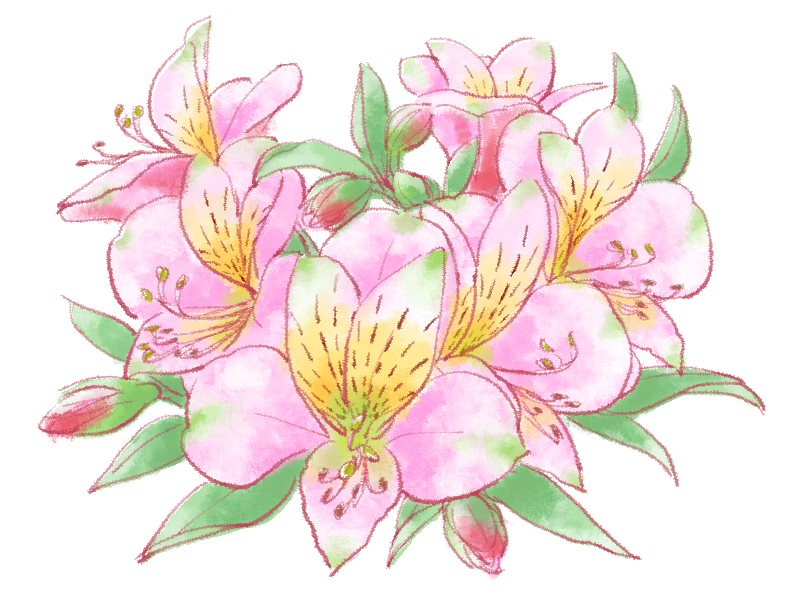 8月9日誕生花を工作 アルストロメリア 花言葉 折り紙 描き方 Paper Flower Alstromeria 介護士しげゆきブログ