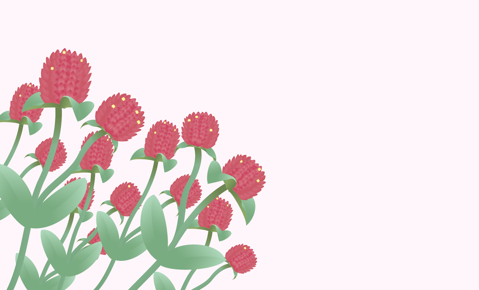 8月日誕生花を工作 千日紅 センニチコウ 花言葉 折り紙 描き方origami Flower Globe Amaranthus 介護士しげゆきブログ