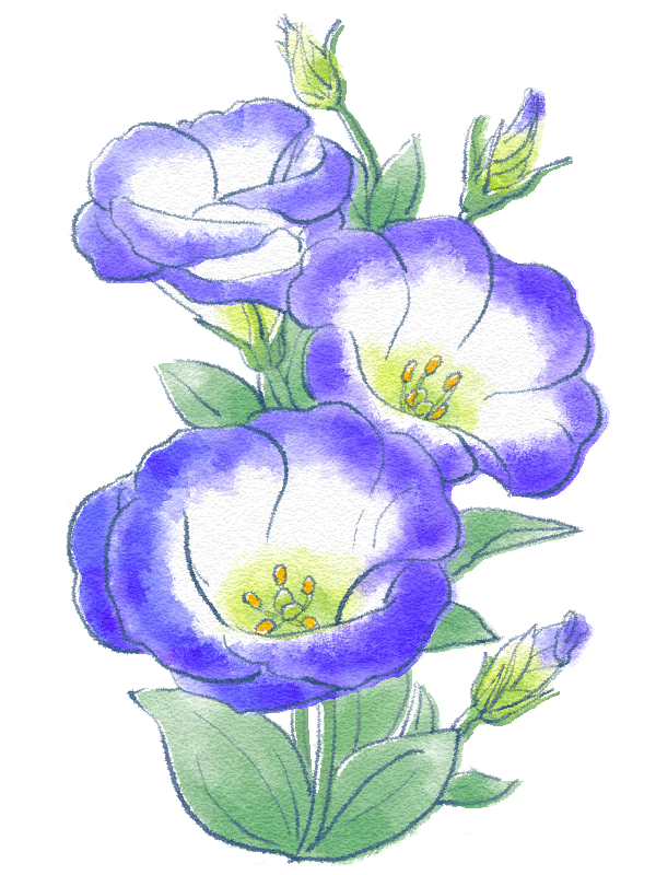 8月18日誕生花を工作 トルコキキョウ 花言葉 折り紙 描き方 Paper Flower White Eustoma Lisianthus 介護士しげゆきブログ