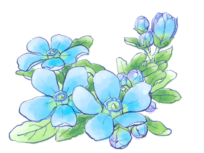 BLUESTAR様 8月新作デザインペーパー 専用デザインペーパーBLUESTAR様